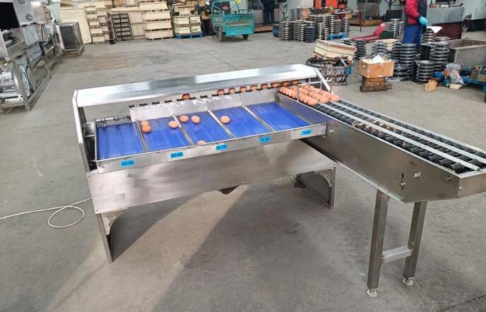Automatic Egg Sorting Machines Automatic Egg Sorting Machines